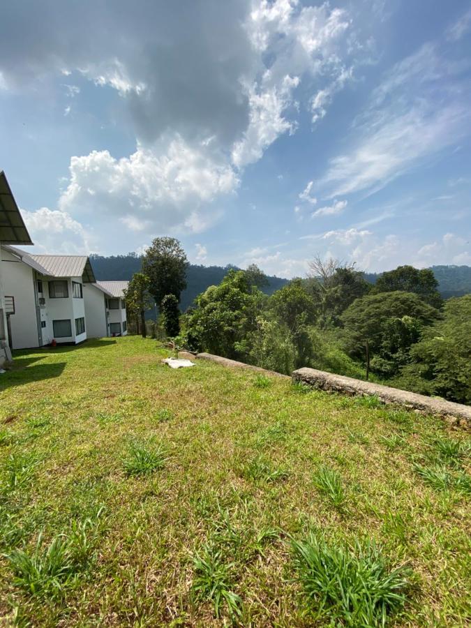 Mannoor Farms Mountain View Stays, Munnar Ngoại thất bức ảnh