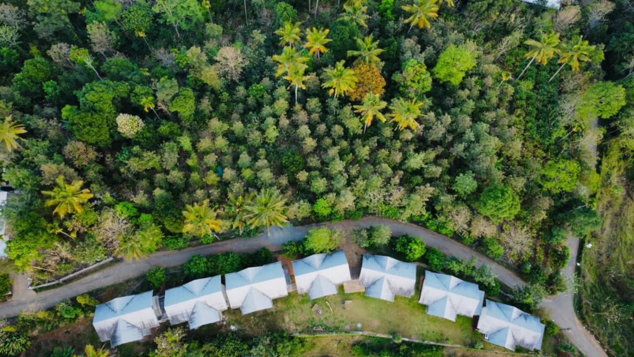 Mannoor Farms Mountain View Stays, Munnar Ngoại thất bức ảnh